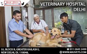 The emergency pet hospital of collier county was established. Three Pointers To Know The Best Pet Hospital Veterinary Hospital Pet Clinic Animal Hospital