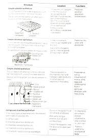 Modification is a syntactic construction in which one grammatical element (e.g., a noun) is accompanied (or modified) by another (e.g., an adjective). Classify And Describe Epithelial Tissue On The Basis Of Structural Modifications Of Cells Biology Q A Doubtnut