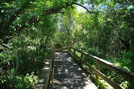 Hours may change under current circumstances The 10 Best Things To Do Near Atlantic Beach Resort A Ramada By Wyndham Tripadvisor