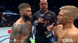Коди гарбрандт vs ти джей диллашоу. Kodi Garbrandt Protiv Ti Dzhej Dillashou Video I Predystoriya Dvuh Poedinkov Fight Ru
