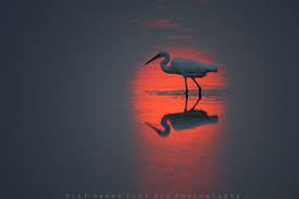 Top 10 Best Landscape Photographers In The World Topteny Com Landscape Photography Art Best Landscape Photographers Cool Landscapes