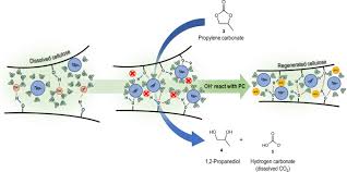 Since it is made by all plants, it is probably the most abundant organic compound on earth 1. Coagulation Using Organic Carbonates Opens Up A Sustainable Route Towards Regenerated Cellulose Films Communications Chemistry