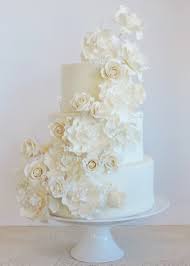 We did not find results for: Gum Paste Flowers Melodia