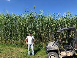 Https Www Fac Northwoods Whitetails Inc Food Plot Seed Facebook