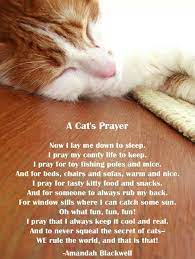 Blanks are for including the pet's name and the type of pet. Pin On Quotes