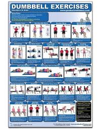 Free Download Dumbbell Exercises Shoulders Arms Laminated