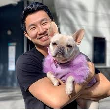 Simu liu (刘思慕) on instagram: Simu Liu åˆ˜æ€æ…• S Instagram Profile Post Made A Friend In Sydney And I Think I M In Love Thanks For Taking A Picture Pictures Instagram Instagram Profile