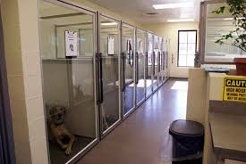 Pin By Jen Belliss Kronkright On Animal Hospital Renovation Ideas Pet Clinic Hospital Design Veterinary