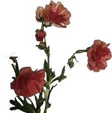 Are you searching for bunga png images or vector? Flower Sticker Flower Aesthetic Png Clipart Large Size Png Image Pikpng