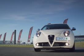 Image result for Gardenia 2012 MiTo