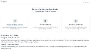 Whether it's for marketing, entertainment or quite often both, video is more popular than ever. Instagram Reels Video Download Snapinsta Instagram Downloader