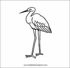 Click on any birds picture above to start coloring. Bird Outline Drawing Coloring Home