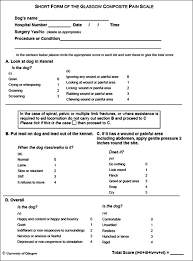 Just like people, dogs have a normal body temperature, heart rate, and respiratory rate. Pain Assessment In Dogs And Cats Today S Veterinary Practice