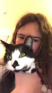 Da cool Beene (@crusoeandarchibeans)'s videos with hall of fame