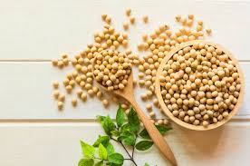 Makanan sumber protein hewani cenderung memiliki zat gizi mikro yang lebih tinggi dibandingkan dengan makanan sumber protein nabati. Ini 6 Sumber Protein Nabati Yang Nggak Kalah Bergizi Dari Protein Hewani Yuk Intip Apa Aja Tribunstyle Com