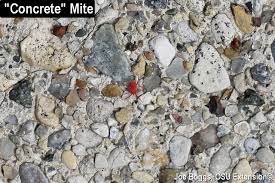 Find over 100+ of the best free concrete texture images. Concrete Mites Are Out Look Before You Sit Bygl