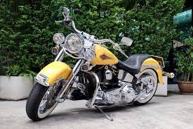 Image result for Nuget Yellow 1999 Motorcycle