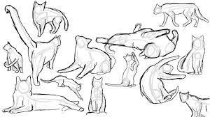 Image Result For Cat Poses Drawing Drawing Reference Cat Sketch Drawings