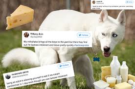 25 Jokes For People Denying Their Own Lactose Intolerance