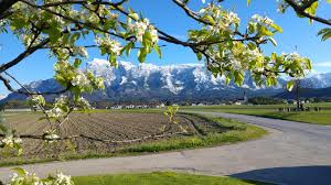 Sei es entlang der saalach, durch die goiser wiese oder durch das dorf! Vor Den Toren Salzburgs Wohnung Wals Siezenheim