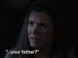 lukeandleiaskywalker