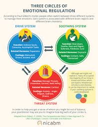 Applying The 3 Circles Model Of Emotion To Help Clients Heal Shame Infographic Nicabm Emotional Regulation Emotional Awareness Emotions