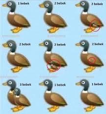 Mau tahu solusi pertanyaan tebak gambar? Ada Berapakah Jumlah Bebek Tersebut Brainly Co Id