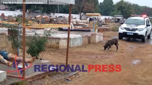 The population of the mesoregion is 695,801 inhabitants (ibge/2010), spread over 36 municipalities. Cpwh Uvquptzfm