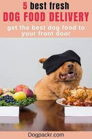 Best Dog Food Delivery Service For Fresh Cooked Food Dogpackr Dog Food Recipes Dog Food Delivery Best Dog Food