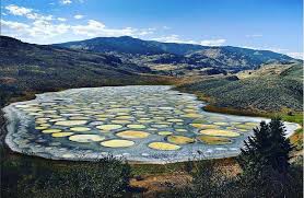 Osoyoos lake is a lake located in british columbia and washington. The Mystery Of Canada S Magical Spotted Lake