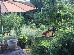 Wilder Garten Garten Anlegen Garten Garten Gestalten