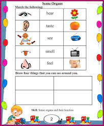 worksheets for ukg maths english evs hindi free download