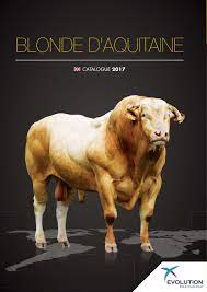 Many of his films made in the 1960's and 70's are evergreens of french comedy and remain popular even today. Catalogue Blonde D Aquitaine Evolution International 2017 En By Evolution International Issuu