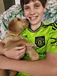 Ellarnie Labradoodles