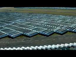 The search volume is 150 p/m. Fema Trailers Forever Anybody Looking For A Trailer Youtube