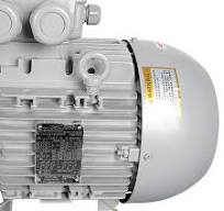 RVT1100 Roots vacuum pump - Dongguan Yazreid ...