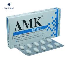 Image result for Amoxicillin