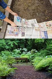 This is a 2 page series post with navigation at the very bottom. 25 Most Beautiful Diy Garden Path Ideas A Piece Of Rainbow