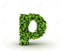 Standard & poor's will add american capital strategies ltd. Letter P Alphabet Of Green Leaves Isolated On White Background Lowercase Stock Photo Picture And Royalty Free Image Image 12977675