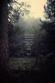 Www Loveyourquotes Tumblr Com Nature Quotes Nature Landscape