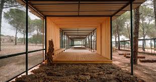 Bosco Colto Campus "Arte di Sopravvivere", edizione 2025