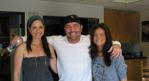 Do you use brave browser? Joe Rogan Eats Pot Brownies And Communicates With Dolphins Huffpost Entertainment