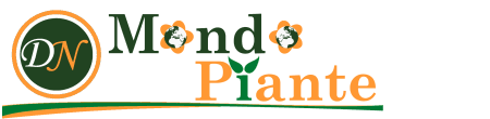 Vivaio mondo piante | vendita piante online per casa e giardino. Vendita Piante Online Per Casa E Giardino Vivaio Online Mondo Piante