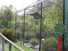 Outdoor Bird Aviary For Sale Nz Aviary Long Narrow Bird Aviary Aviary Chicken Coop Decor