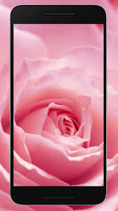 Maybe you would like to learn more about one of these? Wallpaper Bunga Mawar Hd Terbaru For Android Apk Download