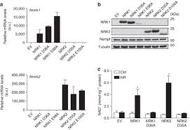 You are now on norway and tuned in on; Nrk1 Controls Nicotinamide Mononucleotide And Nicotinamide Riboside Metabolism In Mammalian Cells Nature Communications