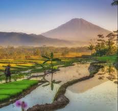 Check spelling or type a new query. Dakwah Harian A Twitter Ya Allah Sehatkanlah Badanku Ya Allah Sehatkanlah Pendengaranku Ya Allah Sehatkanlah Penglihatanku Hr Abu Daud