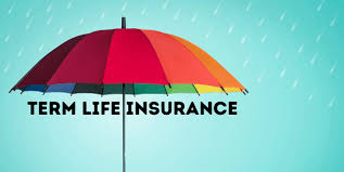 Life insurance that provides coverage for a set term and does not accumulate cash surrender value. Life Insurance Intelli Choice Insurance