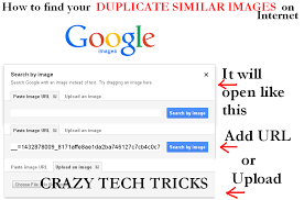 How To Find Duplicate Similar Images On Internet Google Image Search Internet Image