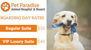 We offer affordable family medicine, pediatrics, dental, and specialty care in apopka, florida. Pet Boarding In Apopka Fl Sitename